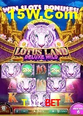 Estatísticas T111 Bet